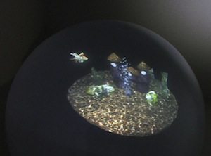 Automatic Calibration of a Multiple-Projector Spherical Fish Tank VR Display